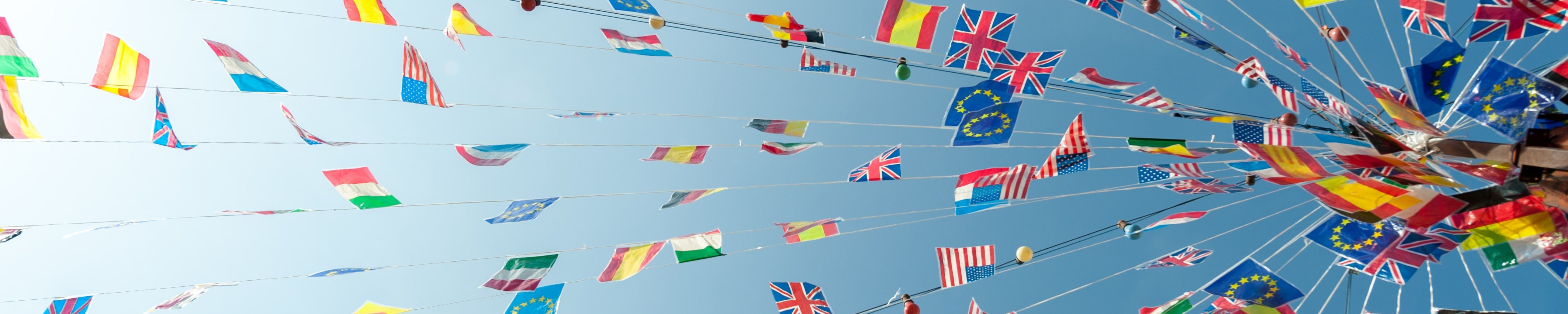 Dossier zu Bilingualer Unterricht bunte Flaggen verschiedener Länder