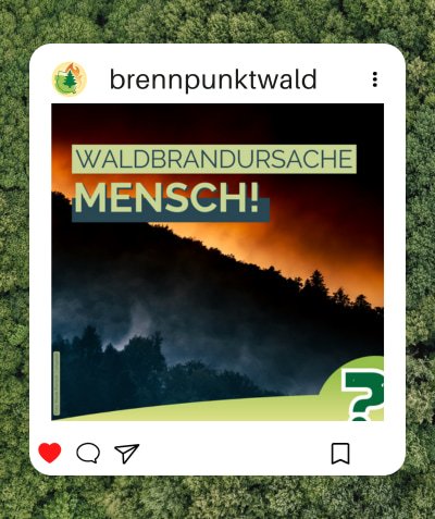 Wald und Klima Bild zeigt einen Instagram Account