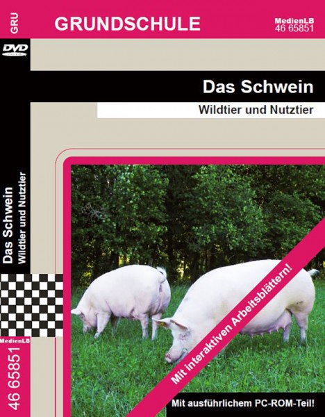 Das Schwein Wildtier Und Nutztier Alle Produkte Lehrer Online