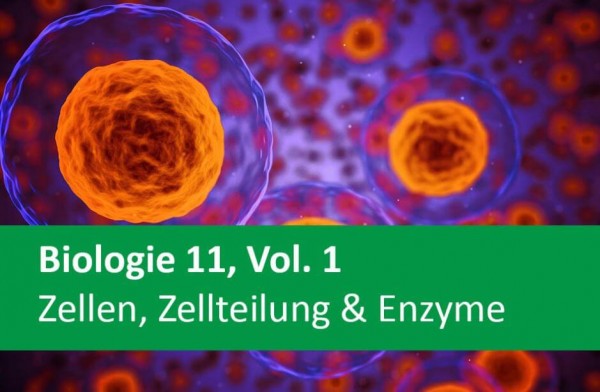 Interaktives Arbeitsheft Biologie Zellen Zellteilung Enzyme 11 Lehrer Online